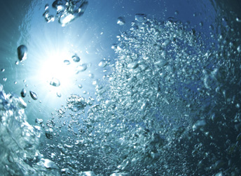 Legionella